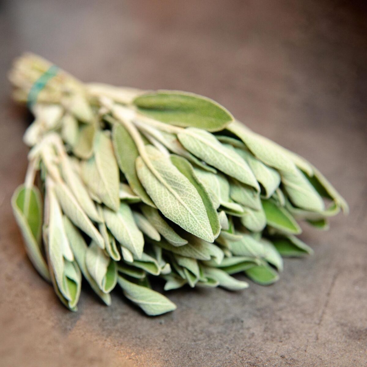 Cooking sage bundles