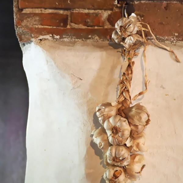 Garlic braid pieces