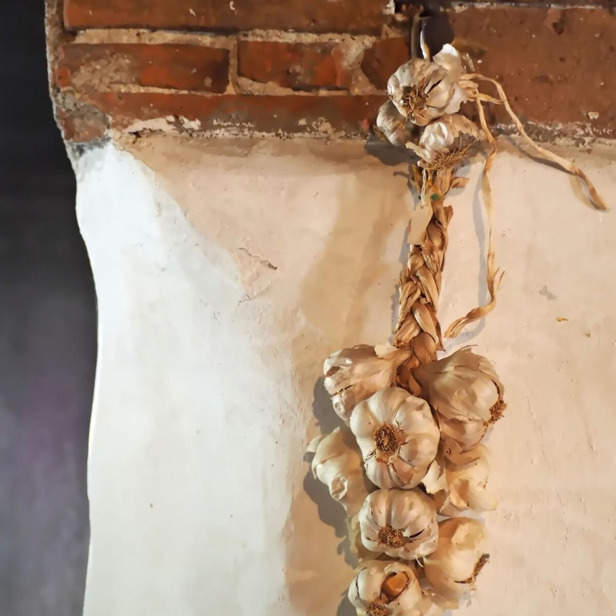 Garlic braid pieces