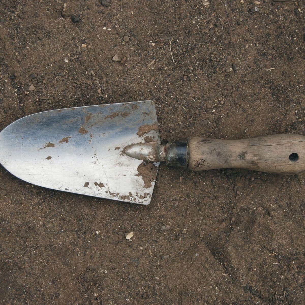 Hand trowel set