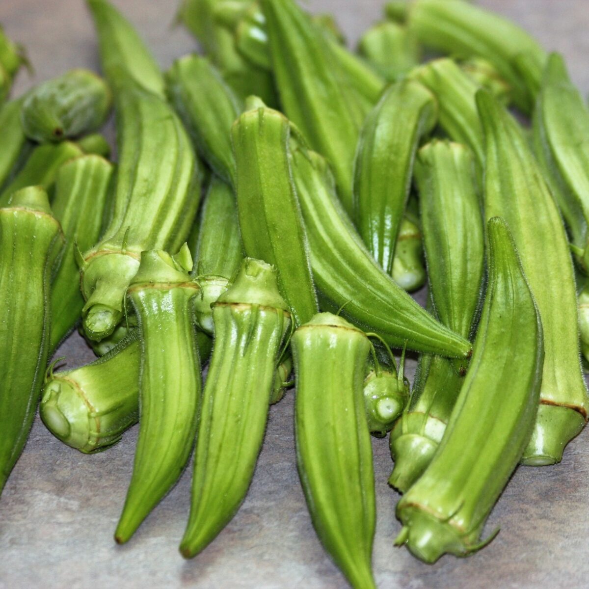 Okra seed envelopes