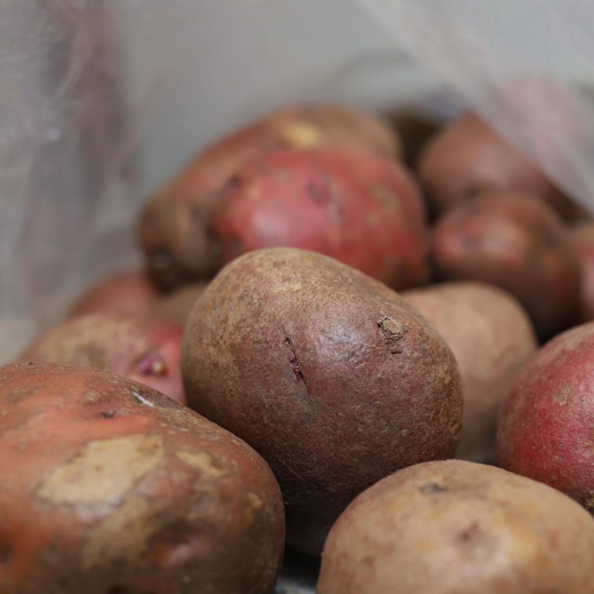 Red potato bag