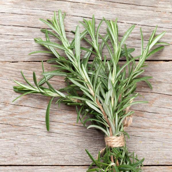 Rosemary bundles