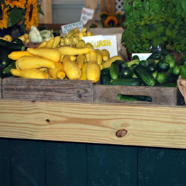 Yellow squash basket
