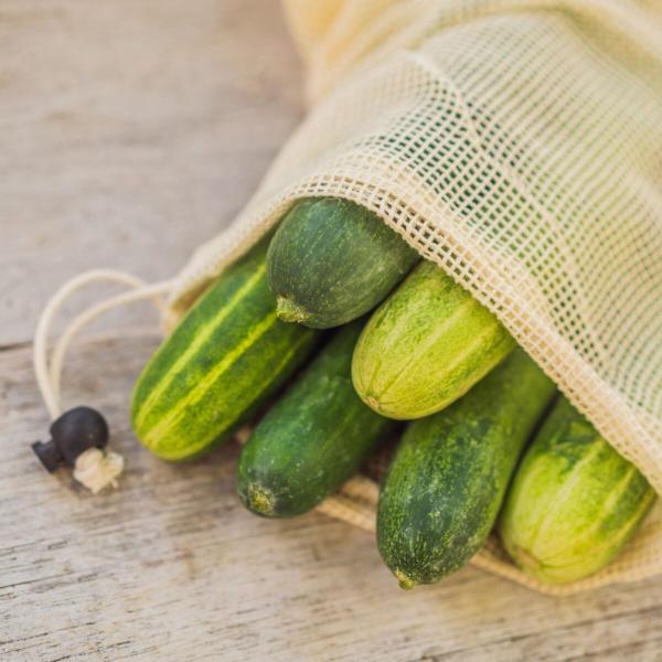Cucumber harvest bag