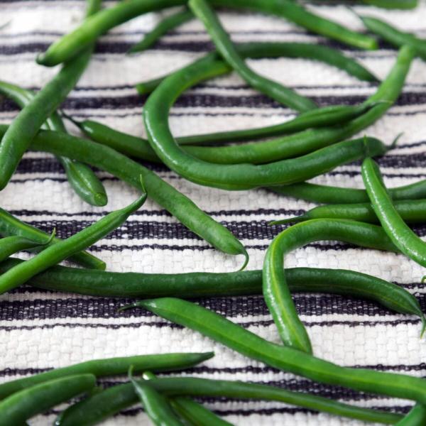 Bush bean seed packs