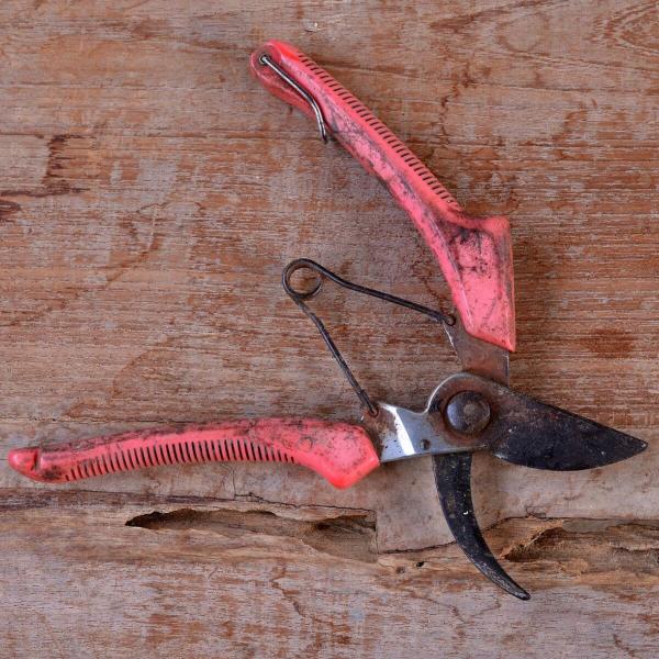 Bypass pruner pair