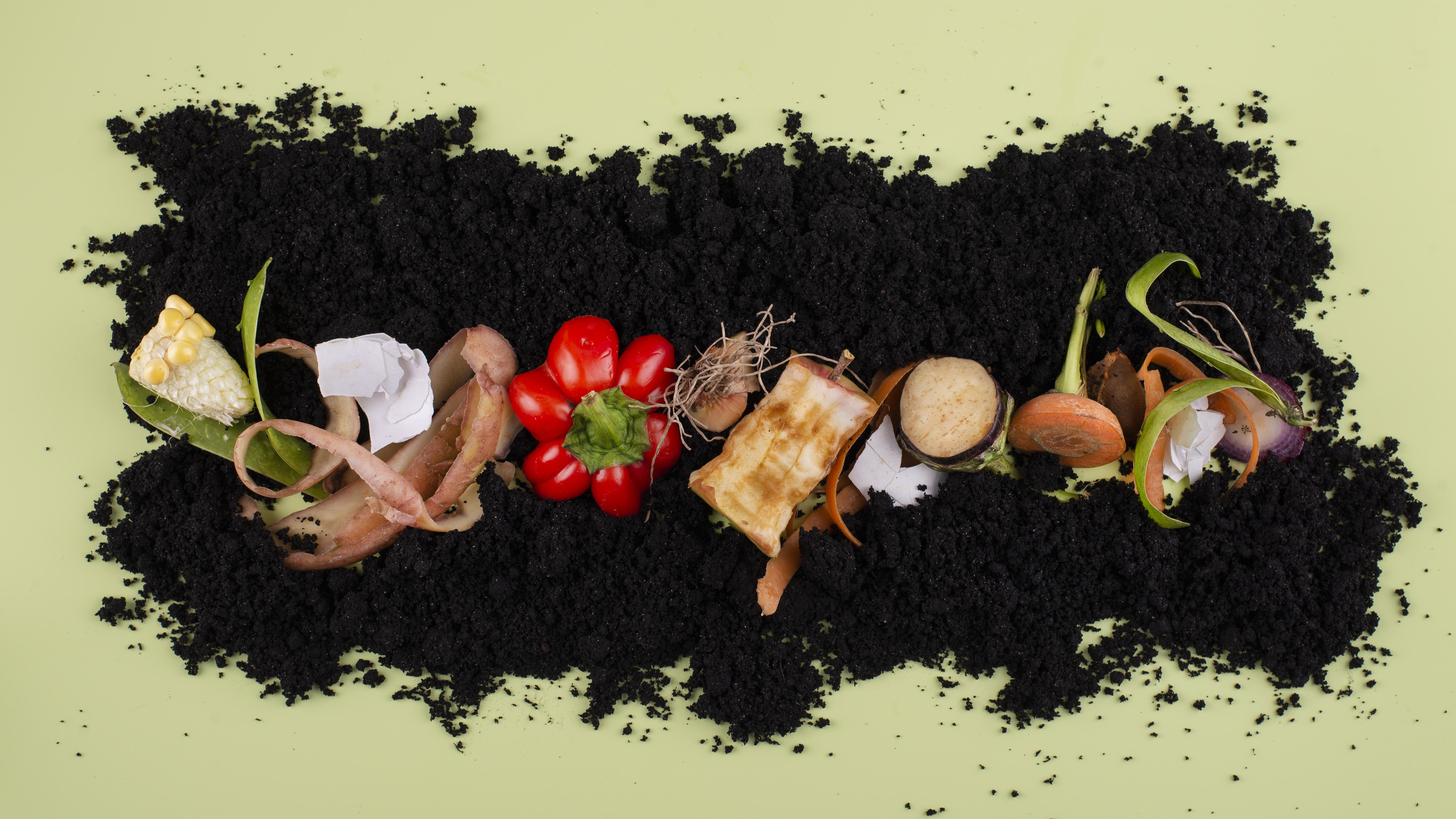 Composting for Healthier Soil
