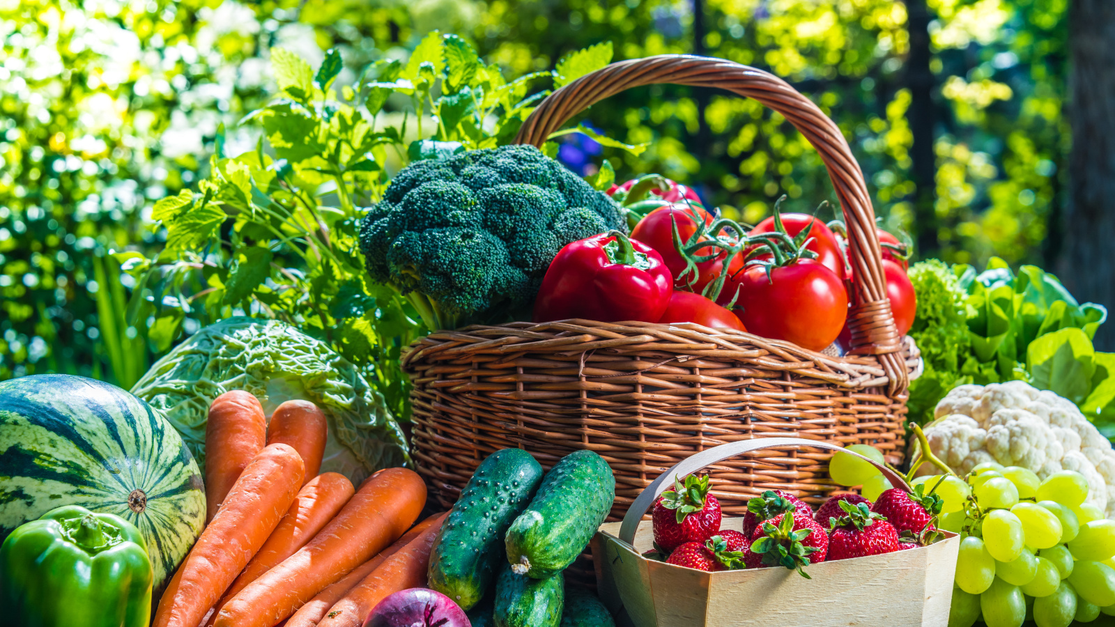 From Garden To Kitchen